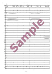 Immer wieder geht die Sonne auf (Ausgabe nur für Österreich) - Image 5