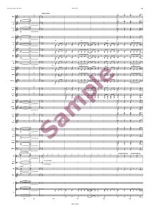 Merci, Udo! (Ausgabe nur für Österreich) – Bild 9