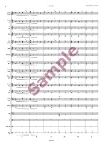 Ponyreiter – Bild 3