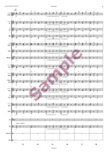 Ponyreiter – Bild 4