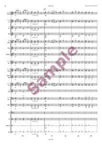 Ponyreiter – Bild 5