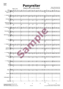 Ponyreiter – Bild 2