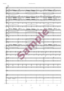 Pfeiffer Polka – Bild 5