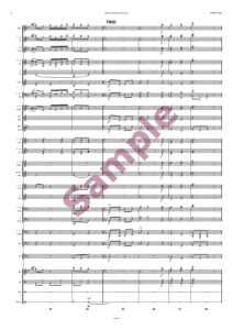 Pfeiffer Polka – Bild 6