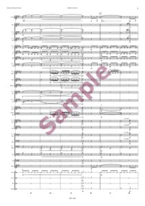 Ob blond, ob braun, ich liebe alle Frau'n für Solo-Gesang und Blasorchester - Image 5