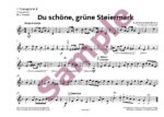 Du schöne, grüne Steiermark (Brass4tett) – Bild 3