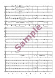 Lehár Marsch für Großes Orchester - Image 9