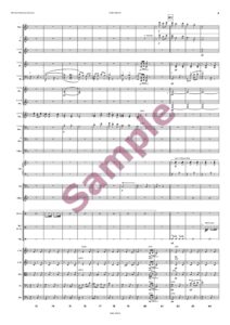 Lehár Marsch für Großes Orchester – Bild 7