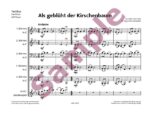 Als geblüht der Kirschenbaum (Flex 5/Blasorchester) – Bild 4