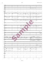 Largo - Aus der neuen Welt (IX. Symphonie) für Blasorchester - Image 3