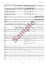 Largo - Aus der neuen Welt (IX. Symphonie) für Blasorchester - Image 7