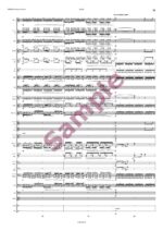 Largo - Aus der neuen Welt (IX. Symphonie) für Blasorchester - Image 8