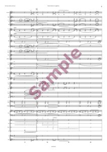 Niemals habe ich mir gedacht… (Ballade für Sologesang und Blasorchester) – Bild 7